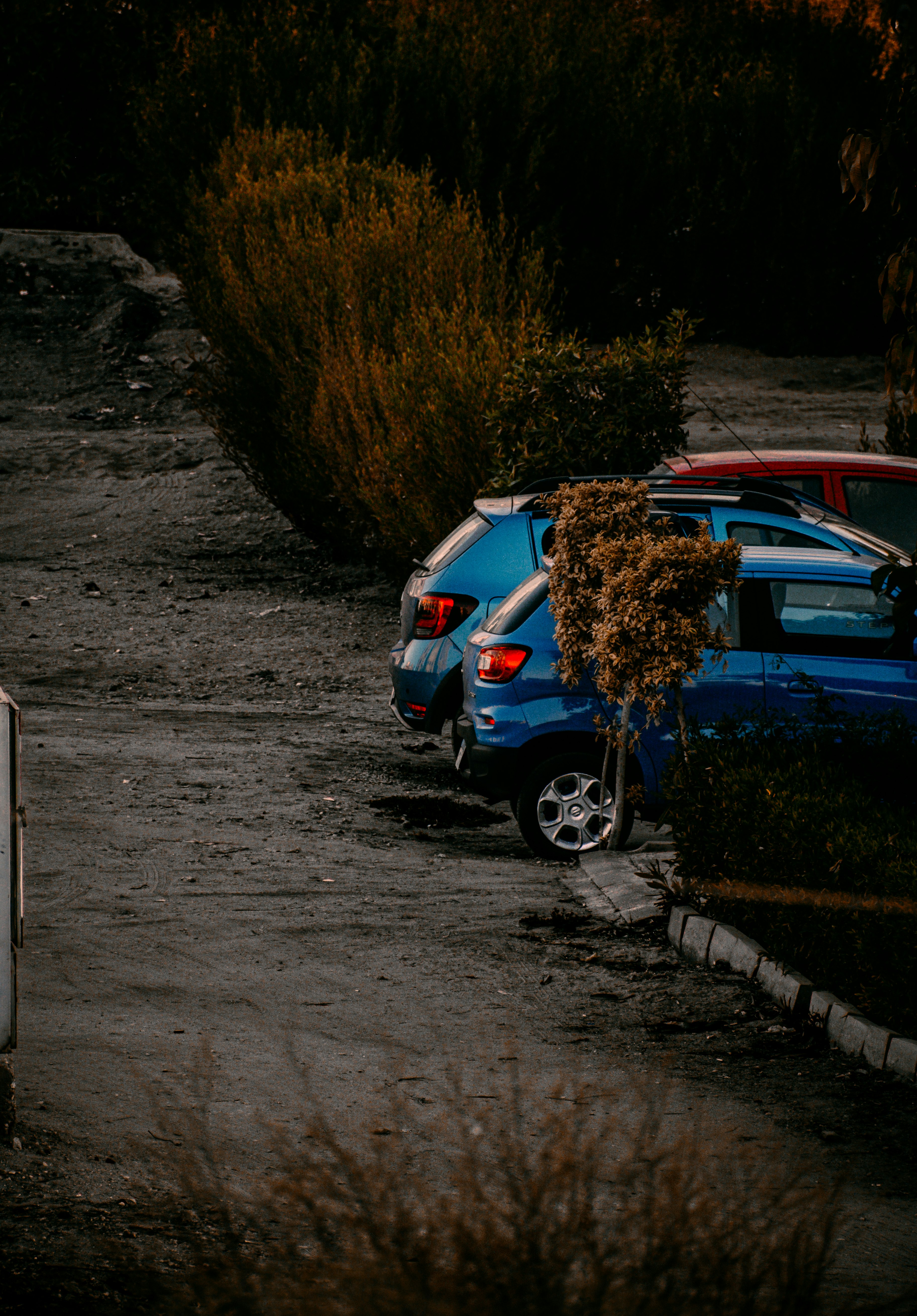 blue car on gray asphalt road during daytime